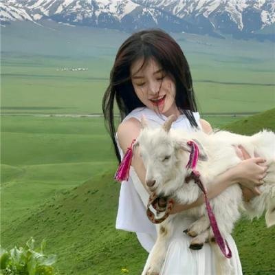 房间海报
