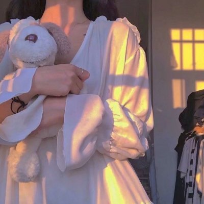 好莱坞以北海报