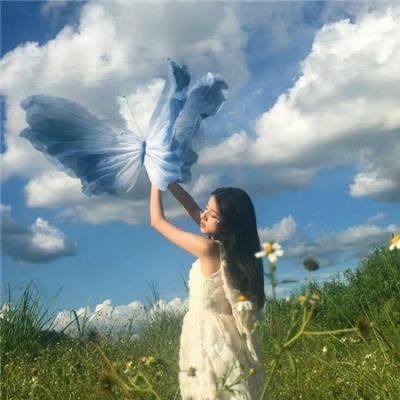 迎风伫立的狮子海报