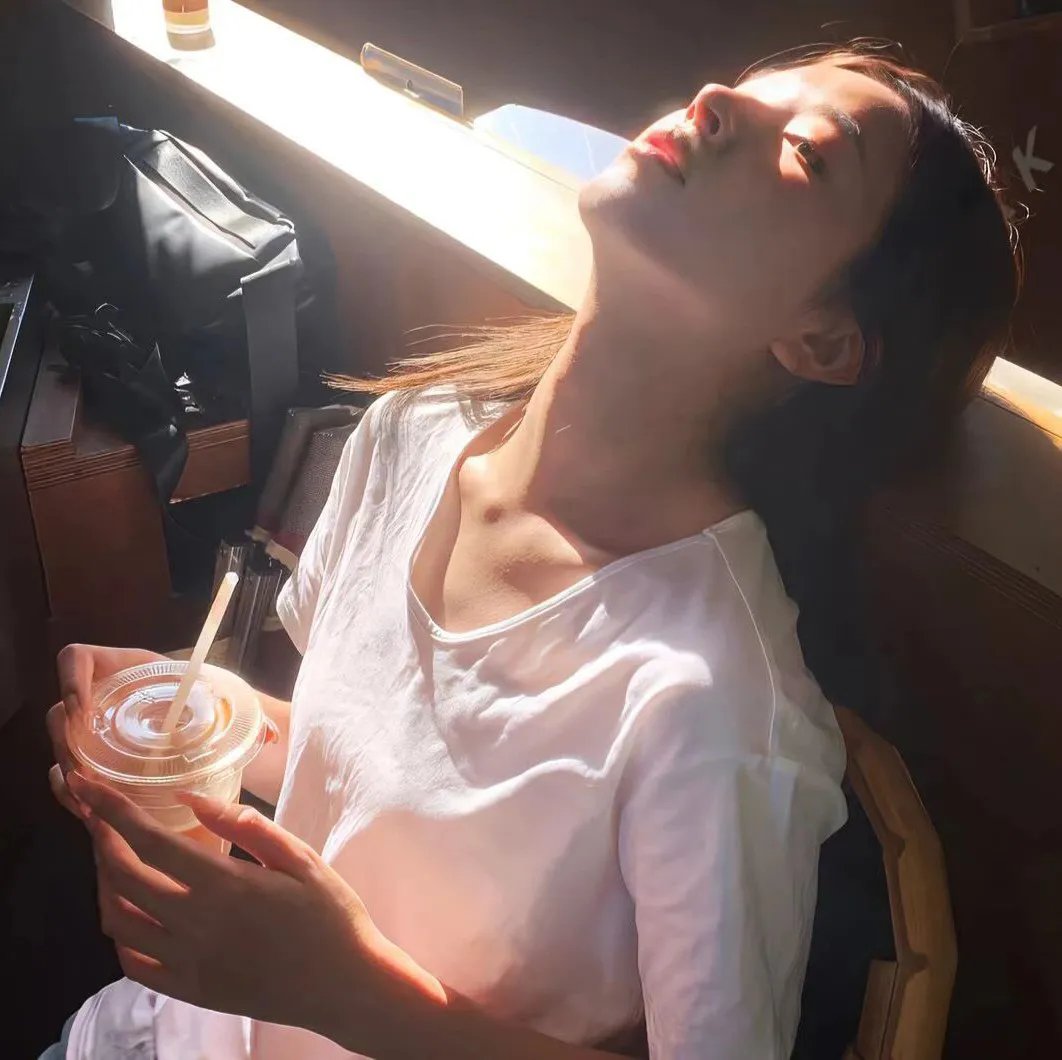 白鹭海报